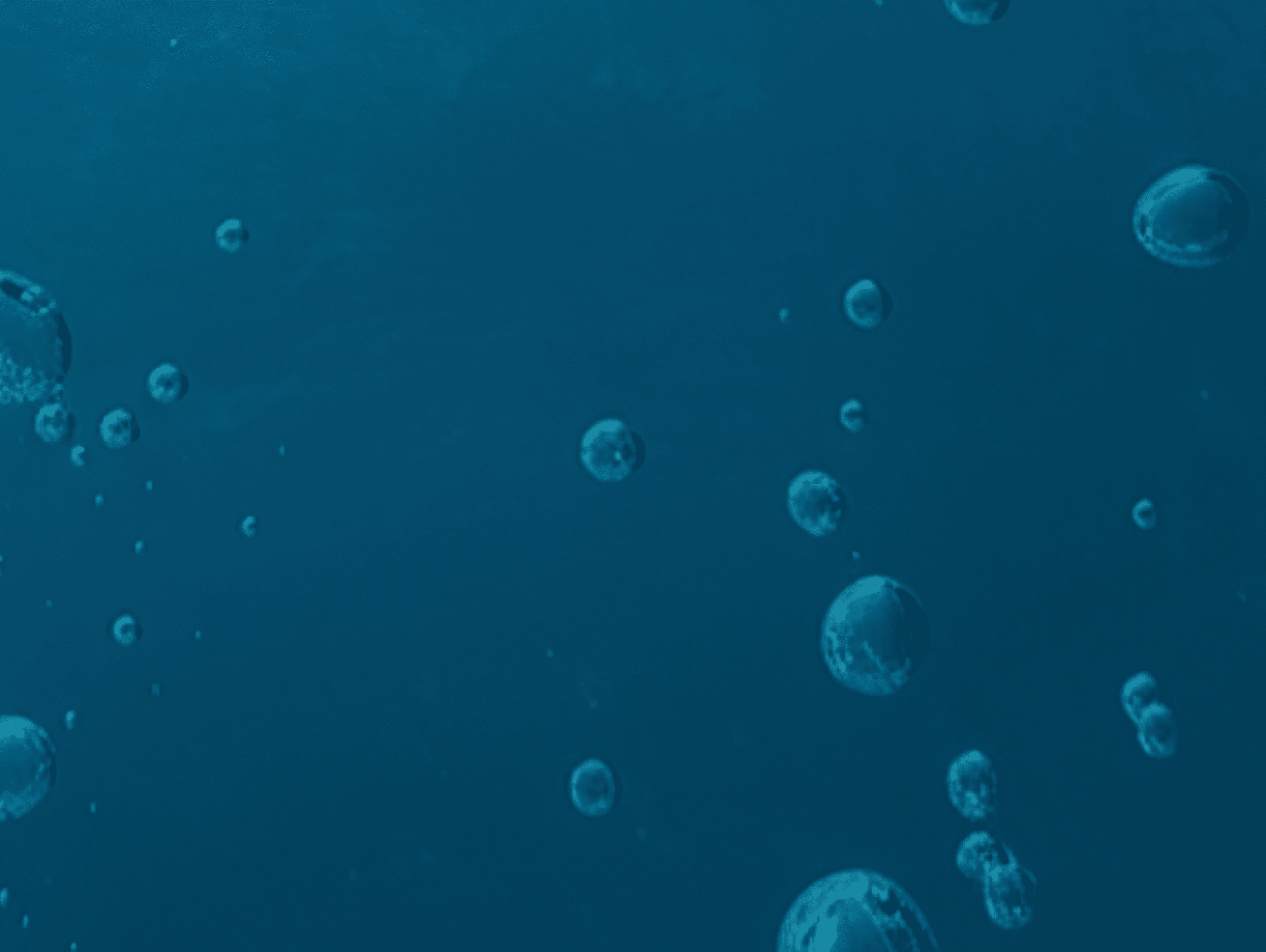 An image of bubbles rising through a blue ocean