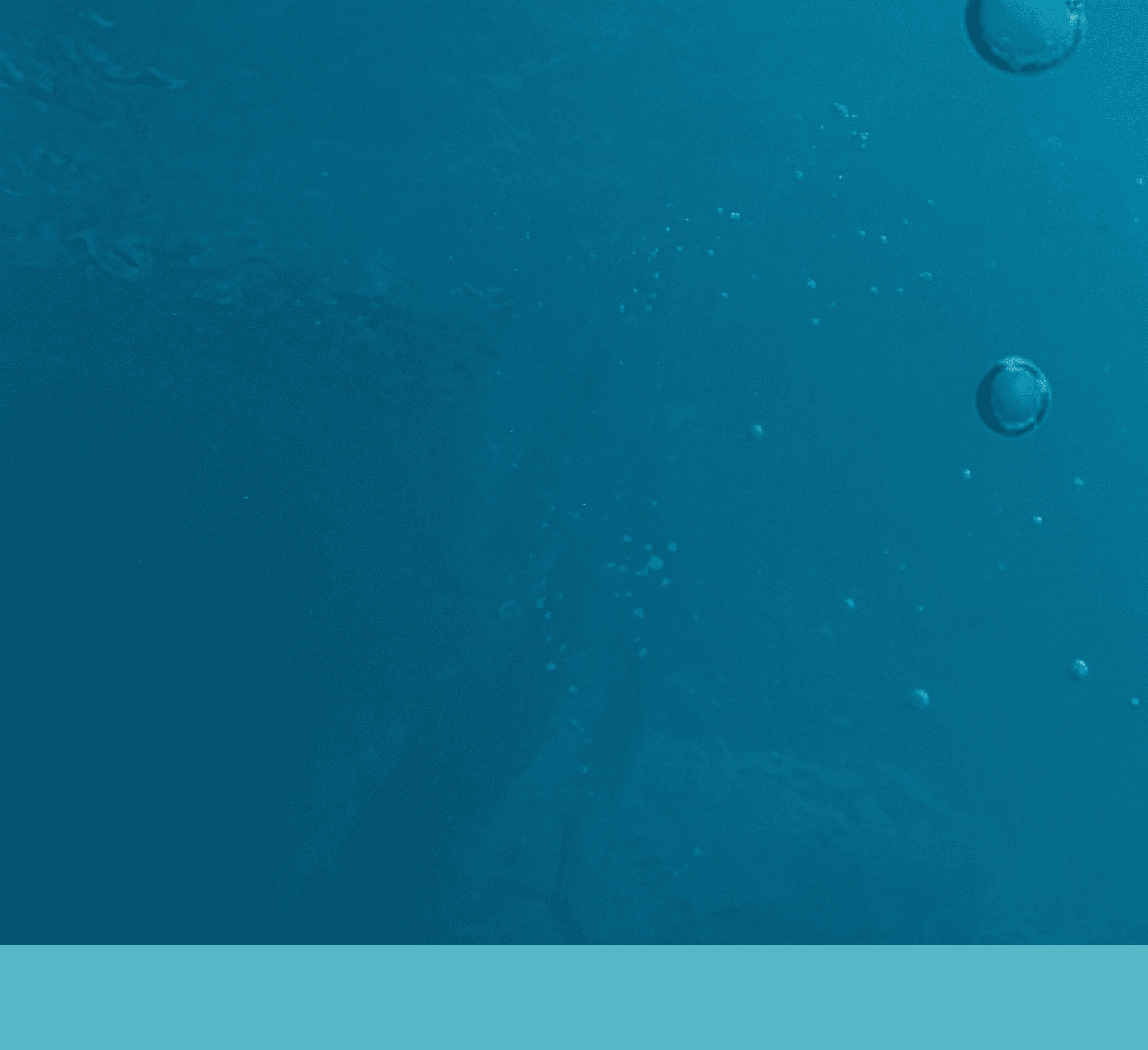 An image of bubbles rising through a blue ocean