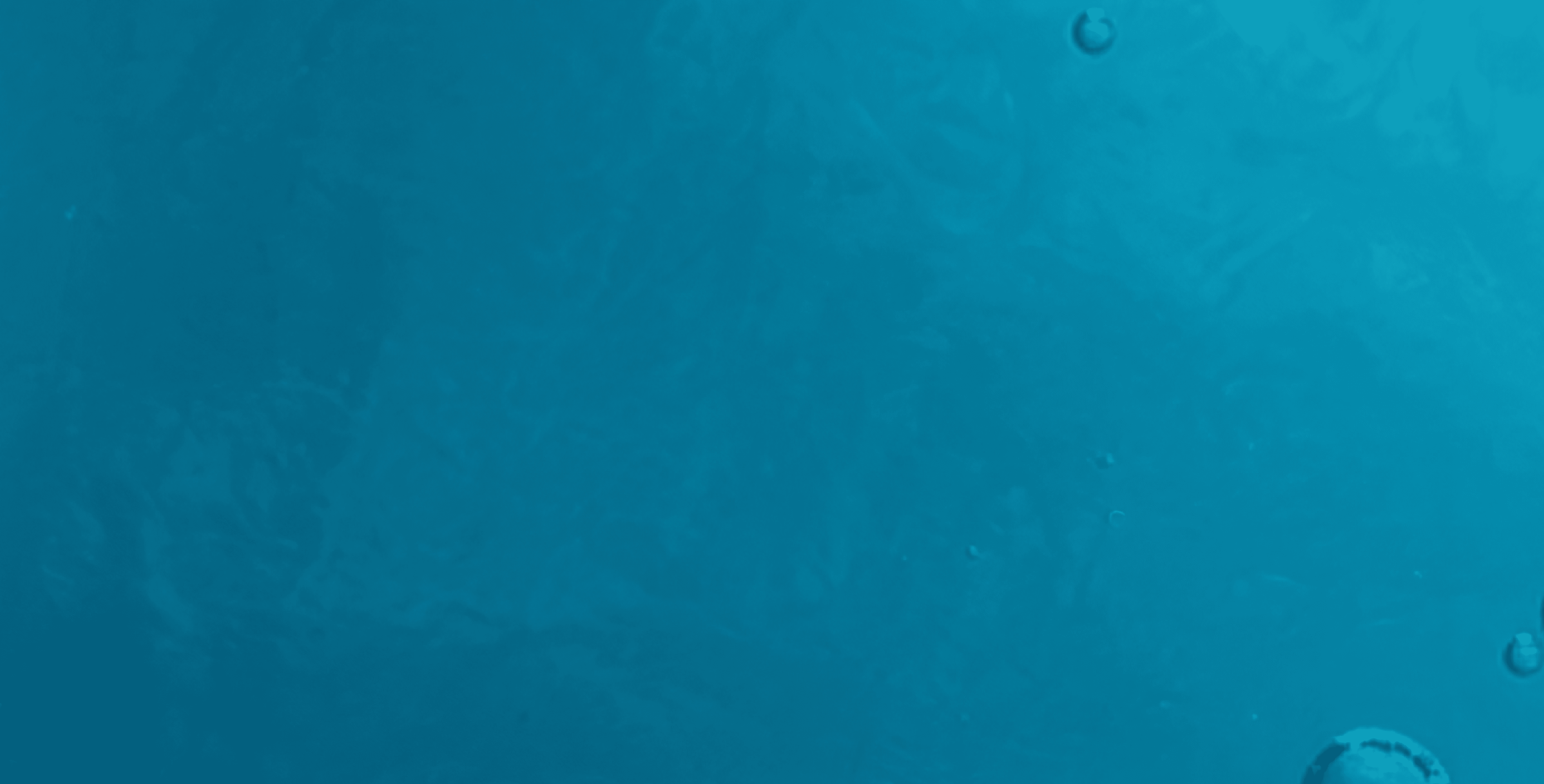 An image of bubbles rising through a blue ocean